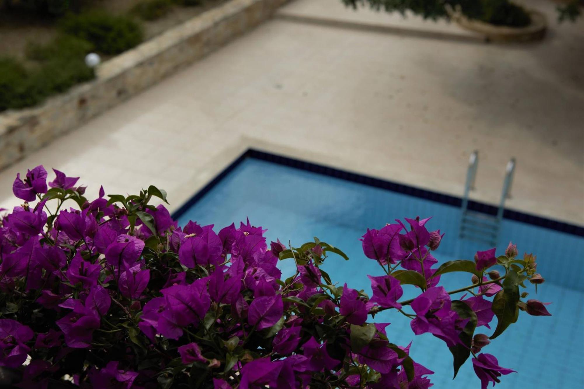 Douliana Villas Extérieur photo